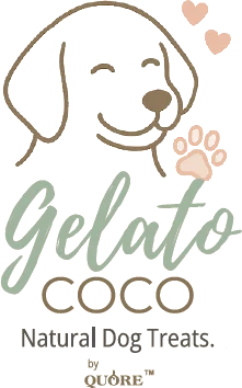 Gelato Coco — Natural Dog Treats by Quore